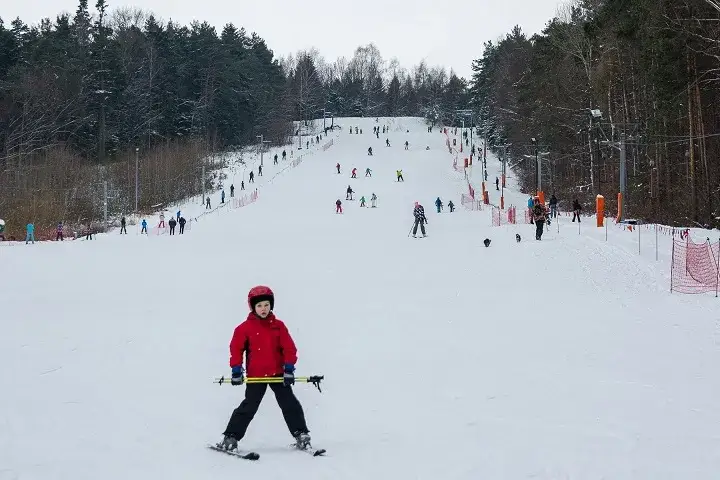 Zdjęcie Gdzie na sanki Świętokrzyskie? Odkryj najlepsze miejsca na zimę