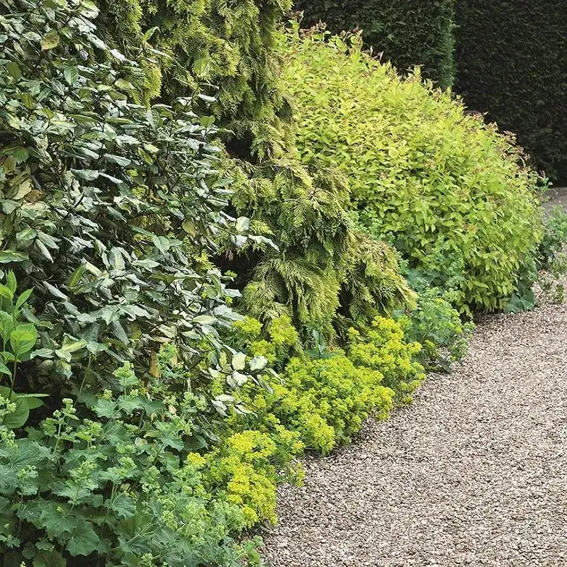 Zdjęcie Ile tłucznia na podjazd? Oblicz dokładnie potrzebną ilość materiału