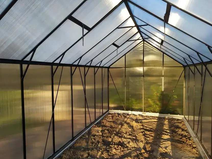 Zdjęcie Zimowa uprawa w szklarni: Co sadzić i jak dbać o rośliny?