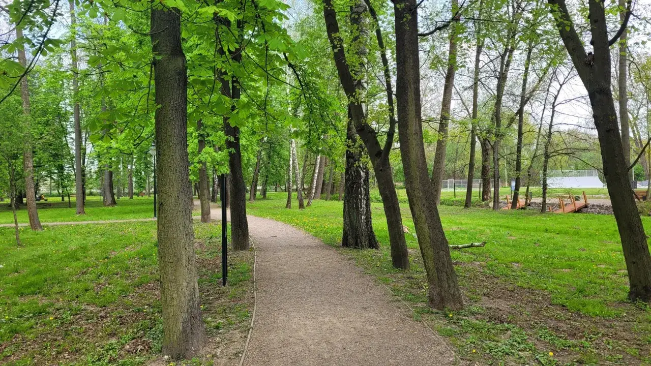 Zdjęcie Atrakcje w Proszowicach, które musisz zobaczyć podczas wizyty