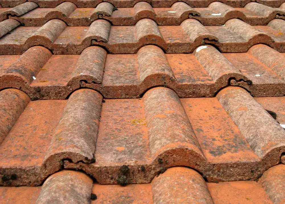 Zdjęcie Jaka dachówka ceramiczna czy betonowa? Poznaj fakty przed zakupem