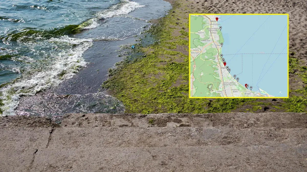 Zdjęcie Aktualne zakazy kąpieli nad Bałtykiem: Lista zamkniętych plaż i kąpielisk