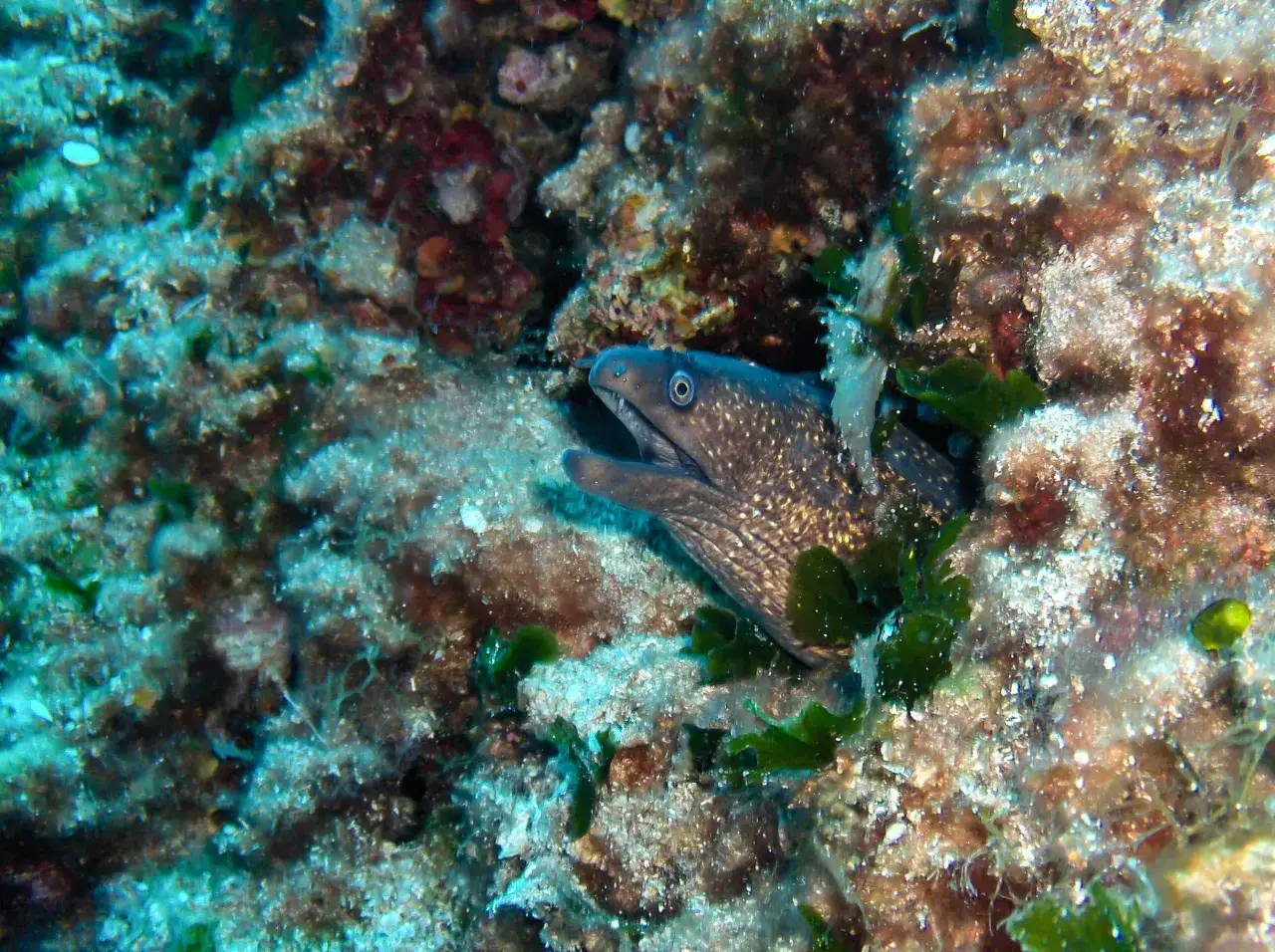 Zdjęcie Jakie morze jest w Chorwacji? Odkryj piękno Morza Adriatyckiego