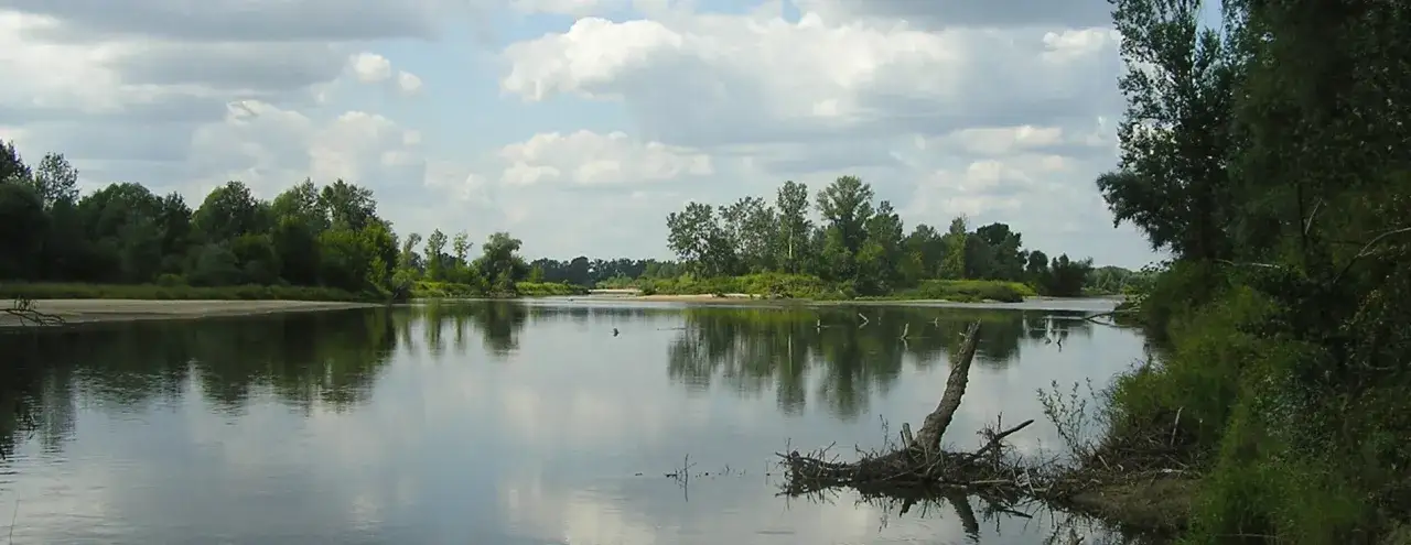 Zdjęcie Rezerwat Przyrody Wyspy Zawadowskie – co warto wiedzieć przed zwiedzaniem?