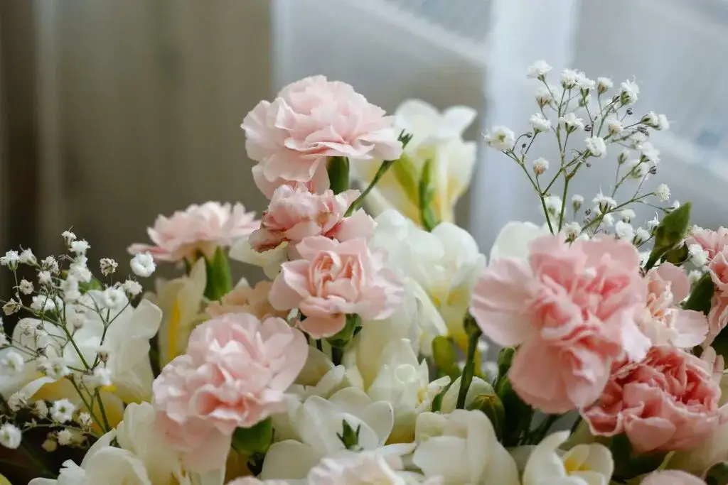 Zdjęcie Jakie kwiaty na komunię - wybierz najpiękniejsze i symboliczne opcje