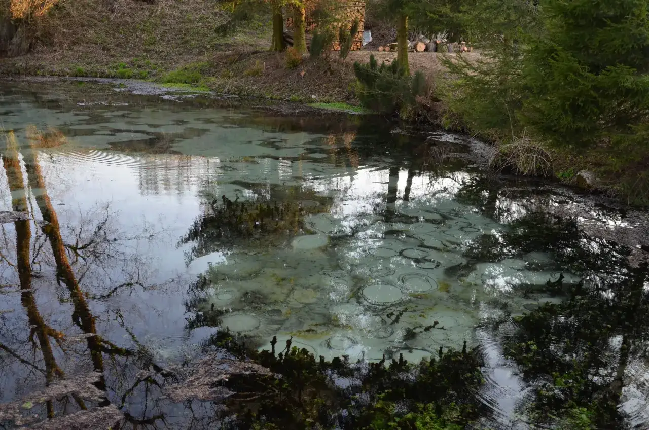Pulsujące źródła Jordan Dłubniański Park Krajobrazowy