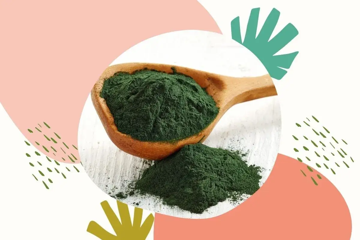 r&oacute;żne formy spiruliny proszek tabletki