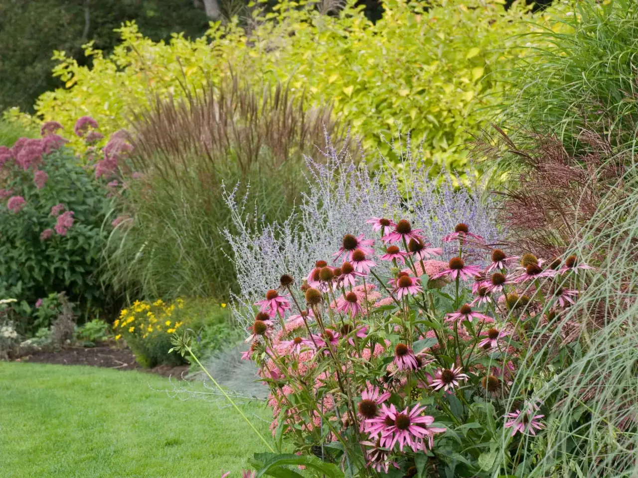 Kwiaty jeż&oacute;wki i trawy ozdobne tworzą bujny ogr&oacute;d w stylu angielskim.