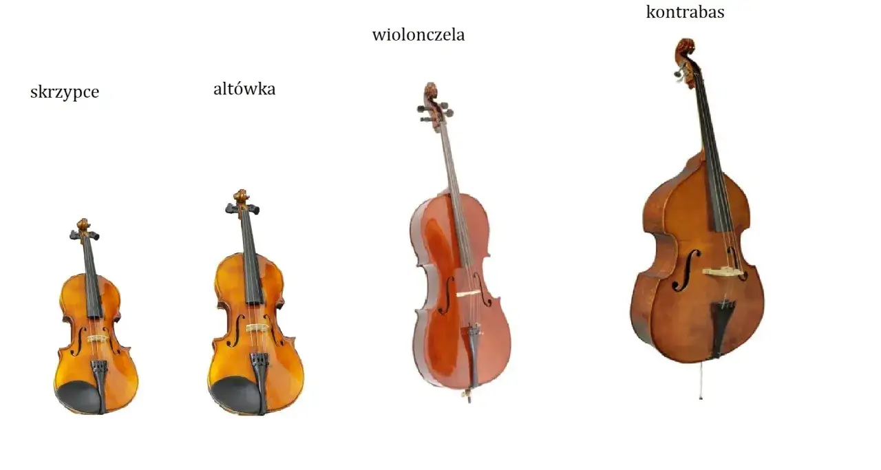 Porównanie instrumentów smyczkowych: skrzypce, altówka, wiolonczela i kontrabas. Wiolonczela jest większa od altówki i skrzypiec.