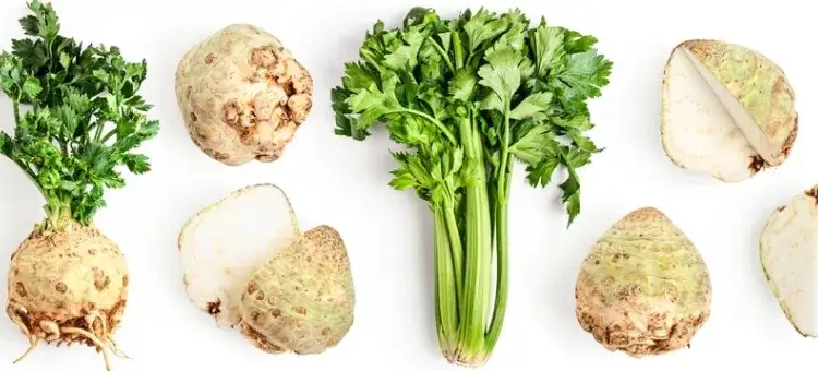 Seler naciowy i jego właściwości zdrowotne infografika