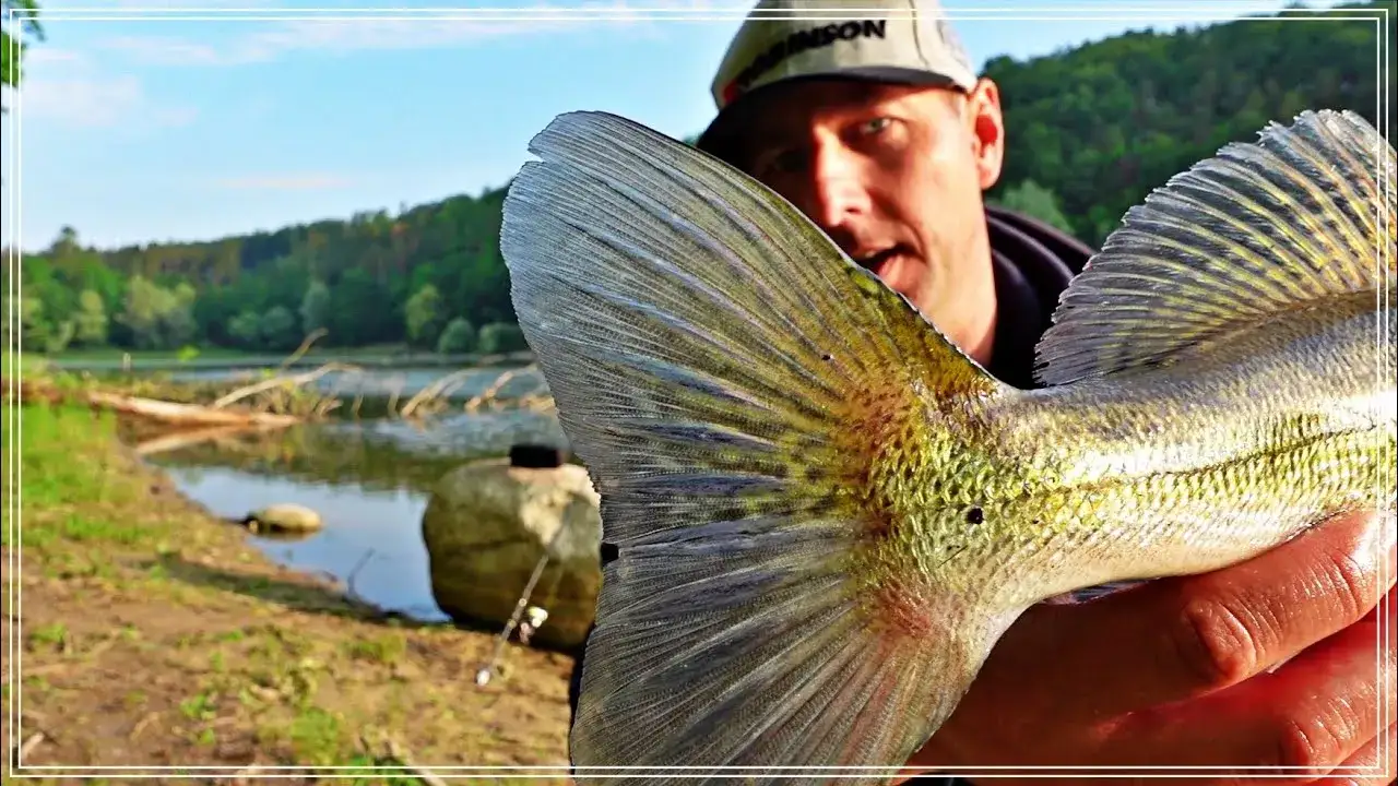 Wędkarz na wietrznym brzegu jeziora