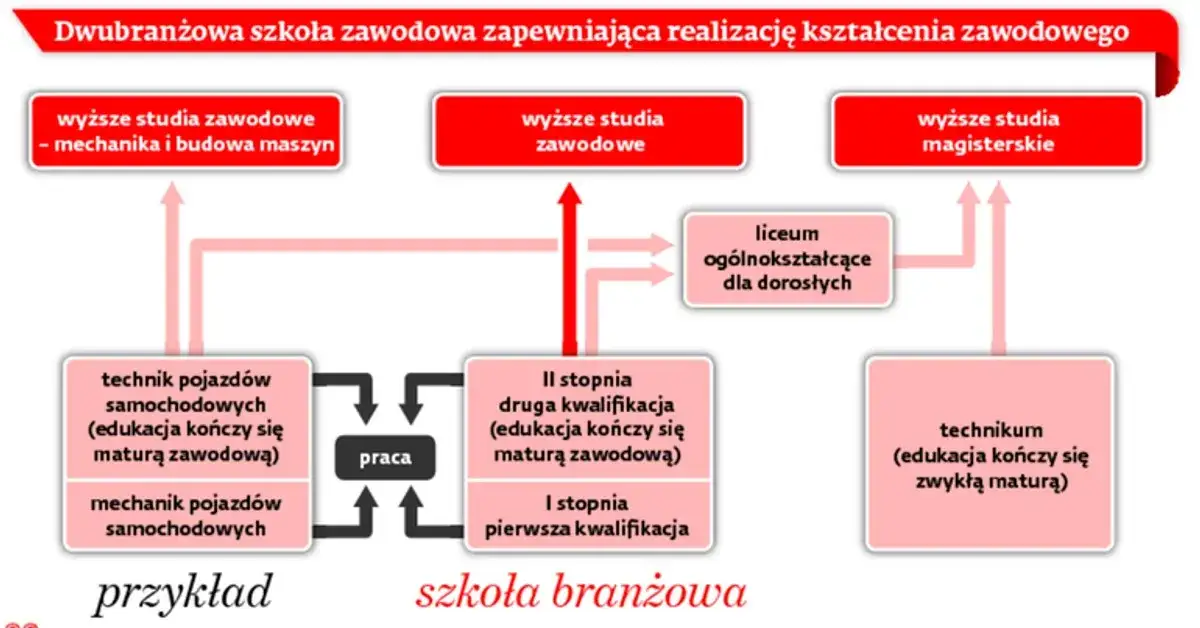 Przykłady zawodów po szkole branżowej