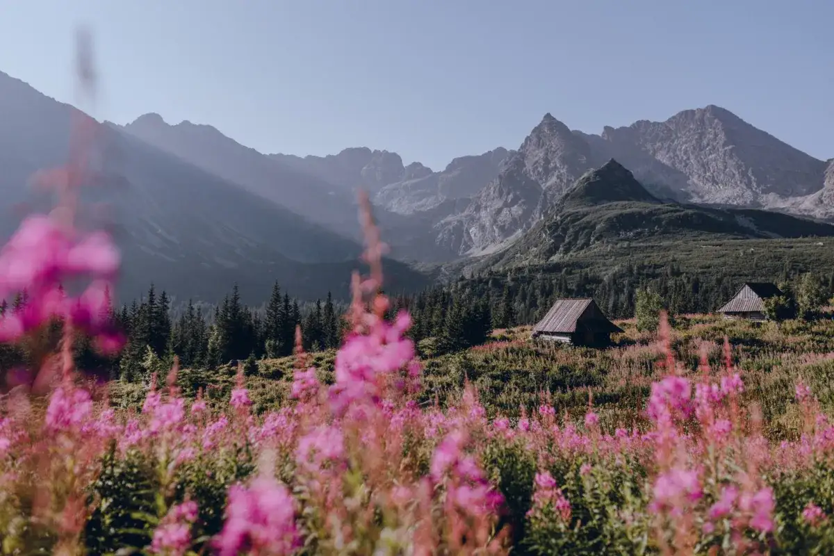 Polska krajobrazy inspiracje podr&oacute;że