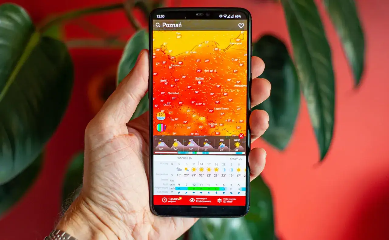 kobieta sprawdza prognozy pogody na telefonie