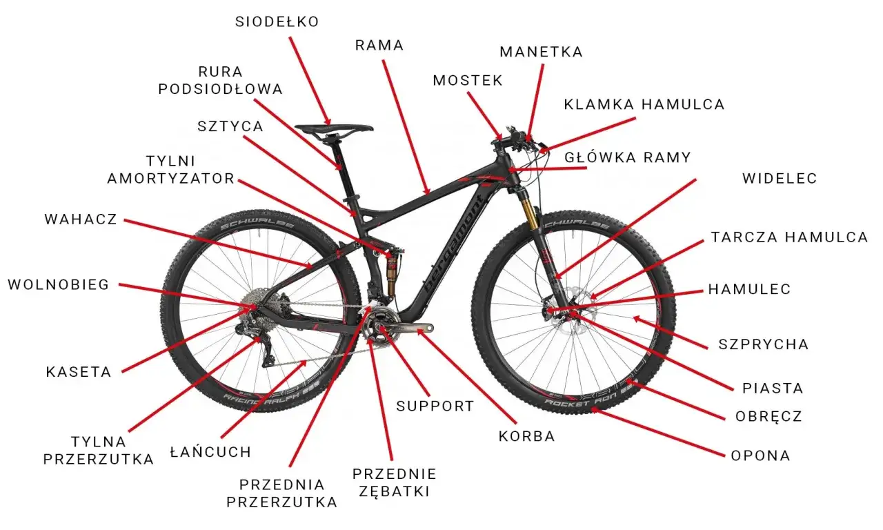 Schemat roweru z zaznaczonymi częściami: siodełko, rama, manetka, hamulec, przerzutka, wolnobieg, kaseta, opona. Poznaj nazwy części rowerowych!