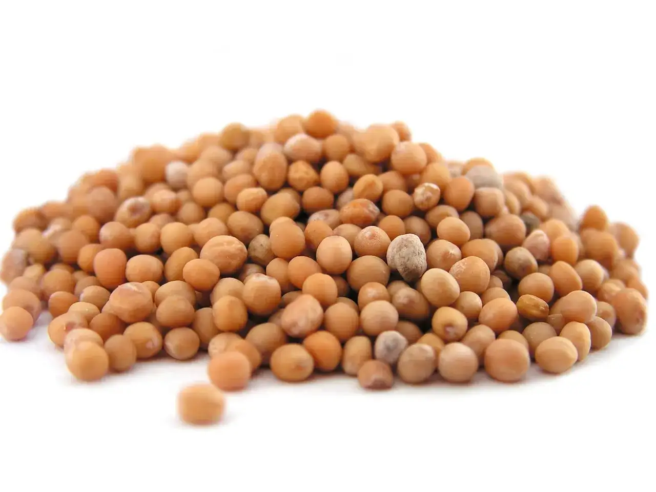 nasiona gorczycy bez glutenu