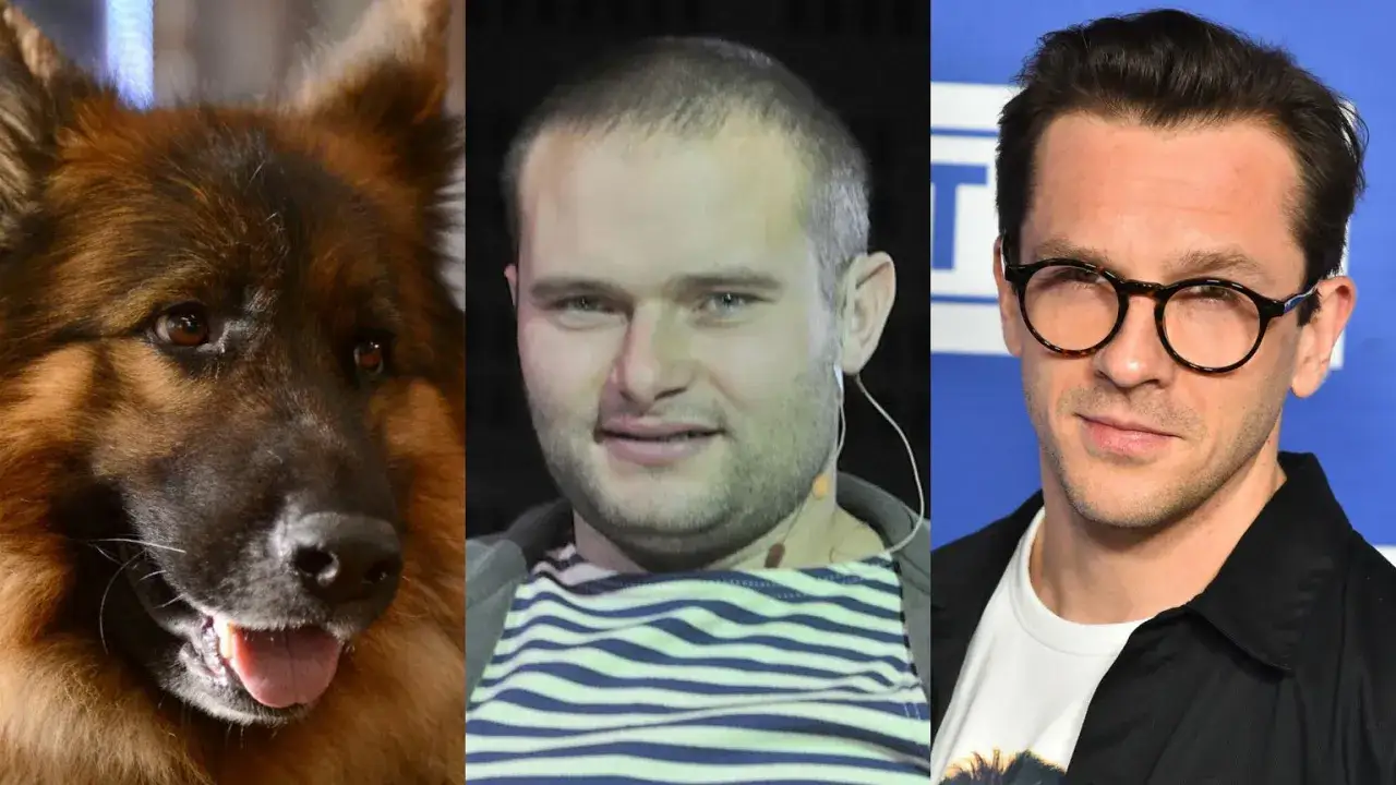 Komisarz Alex obsada: pies Alex, Jakub Wesołowski i Tomasz Ciachorowski.