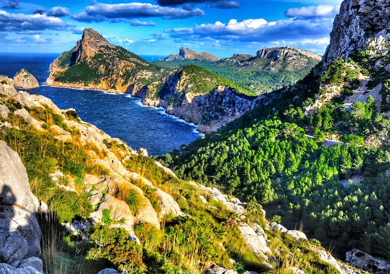 Majorka: malownicze wybrzeże z klifami i lasem sosnowym. Idealne miejsce na nocleg i podziwianie widok&oacute;w.