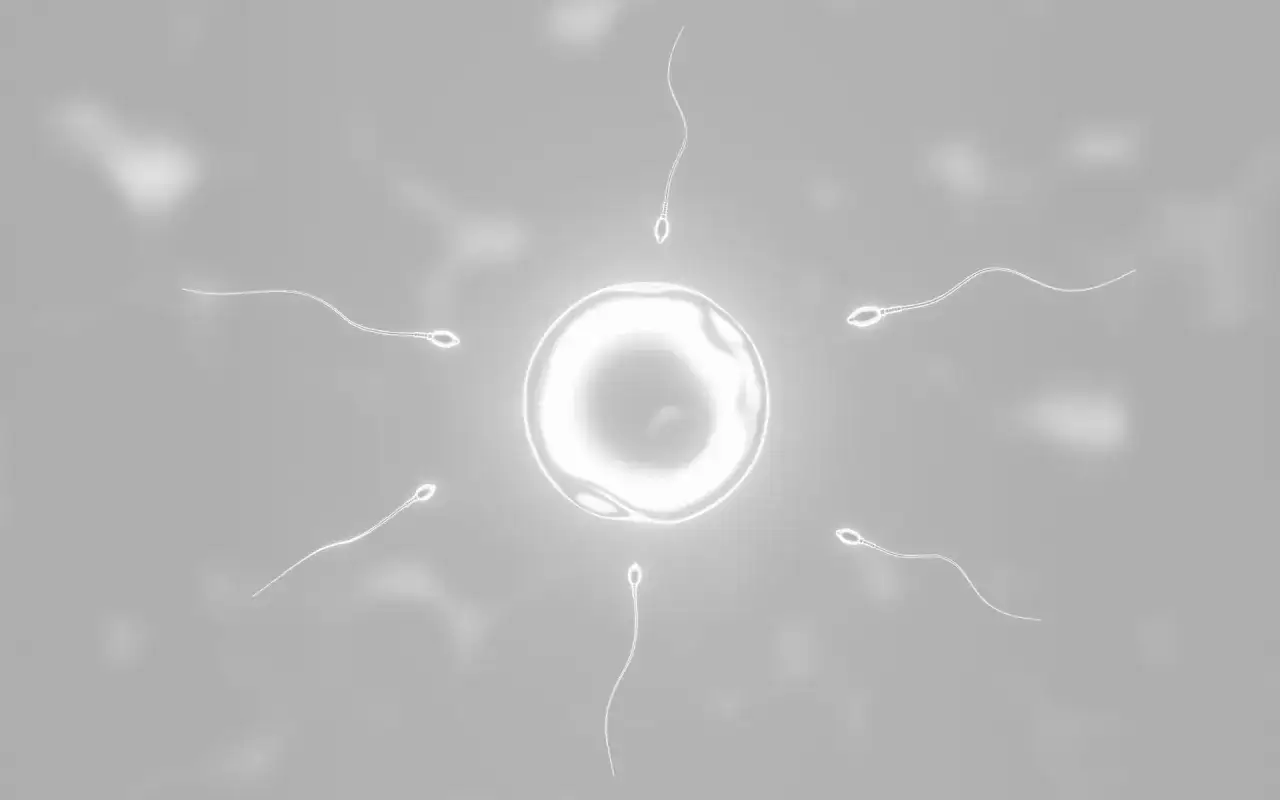 Seminogram wyniki plemniki mikroskop