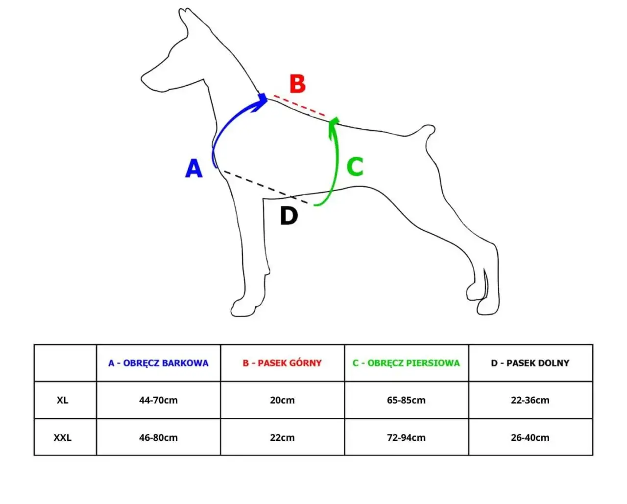 Zdjęcie Jakie szelki dla owczarka niemieckiego wybrać, aby zapewnić komfort?
