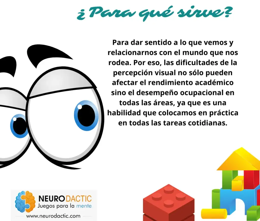 Zdjęcie Cómo funciona la vista: Entiende los secretos de la percepción visual