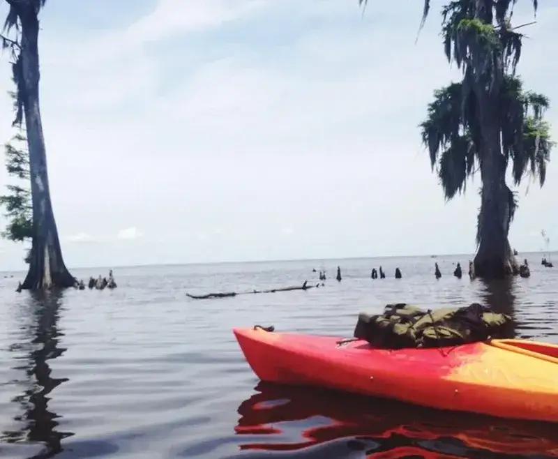 Zdjęcie Ile kosztują kajaki? Sprawdź ceny wynajmu i ukryte koszty