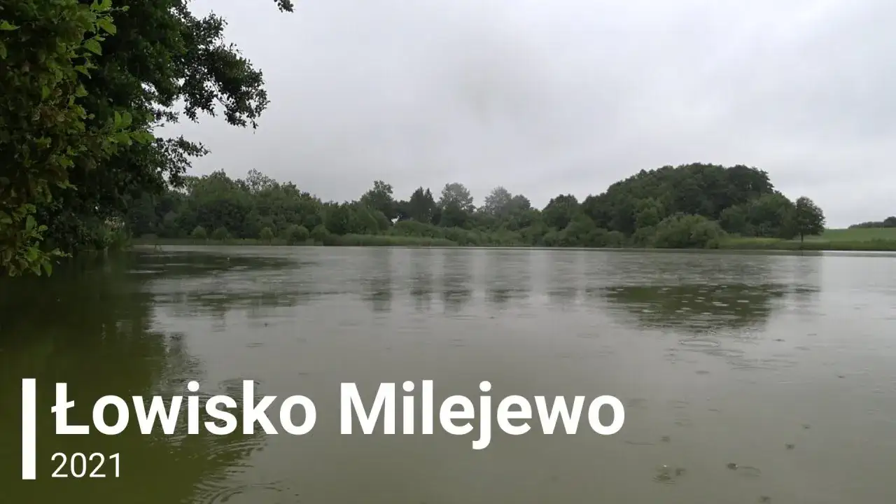 Zdjęcie Łowisko Milejewo: Wszystko, co musisz wiedzieć przed wędkowaniem