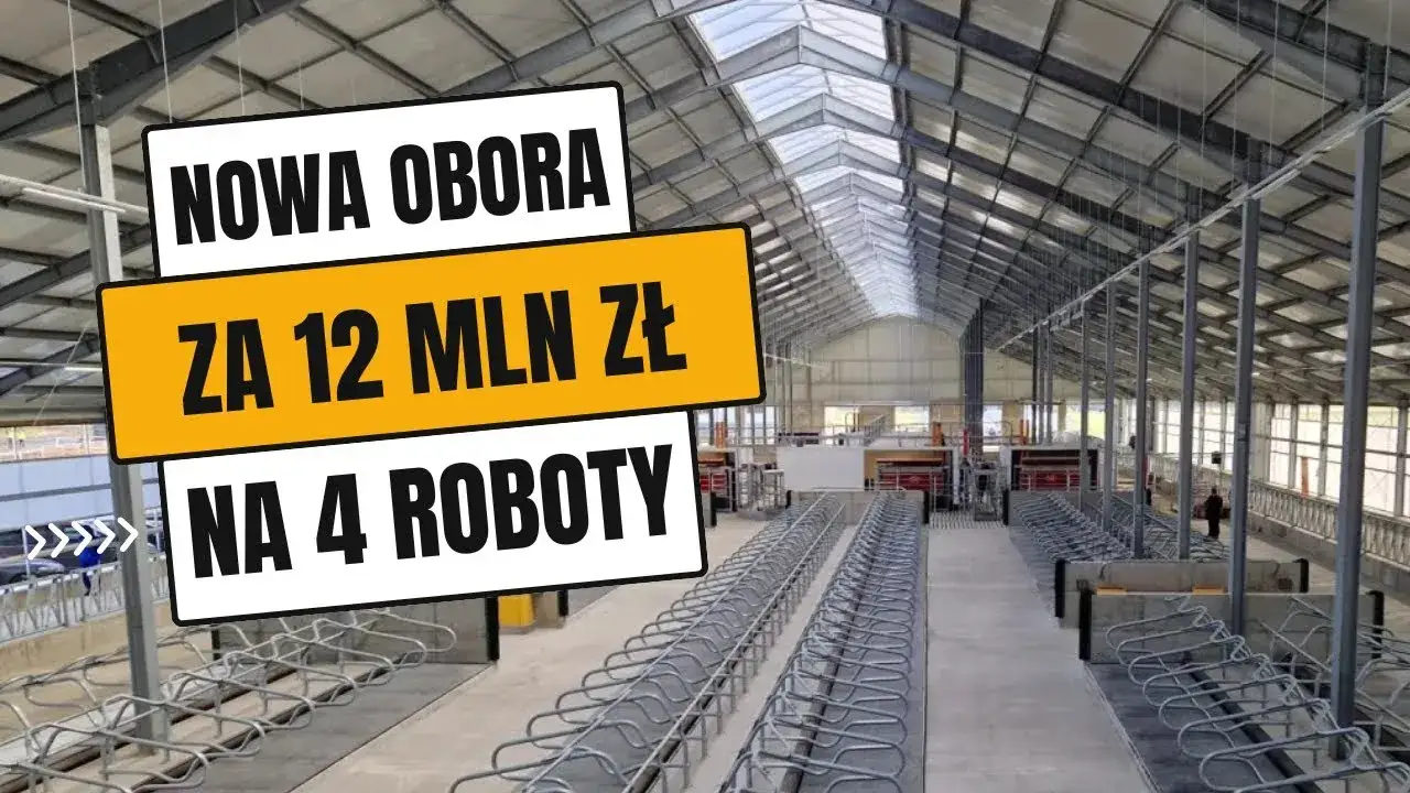 Zdjęcie Ile kosztuje budowa obory? Poznaj ukryte wydatki i oszczędności