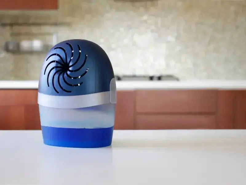 Zdjęcie Jak osuszyć mieszkanie domowym sposobem - skuteczne metody na wilgoć