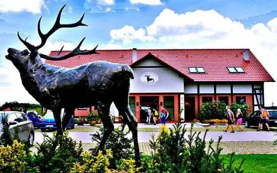 Zdjęcie Milicz gdzie zjeść - najlepsze restauracje i lokalne specjały