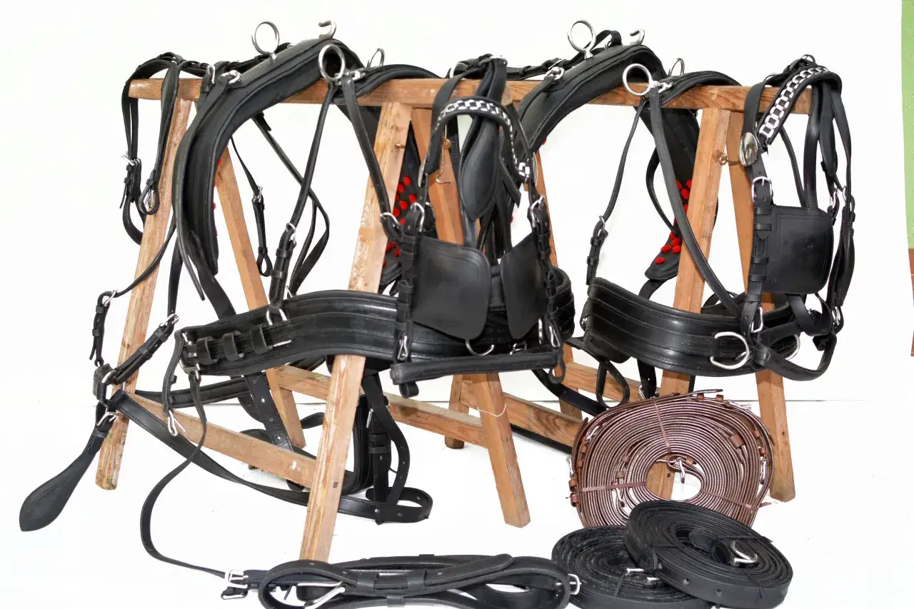 Kompletne szory dla konia, wykonane z czarnej skóry, gotowe do zaprzęgu.