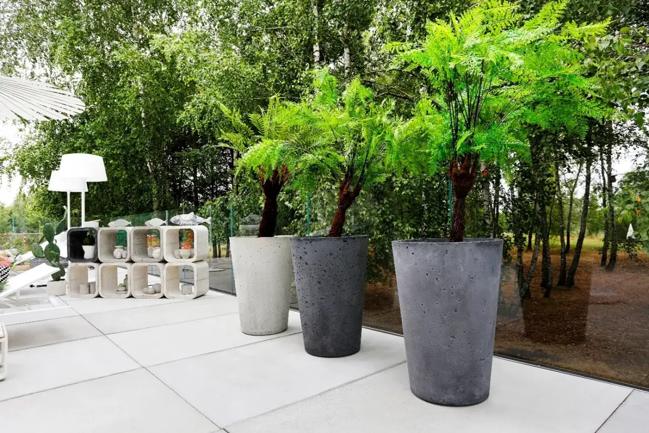 Sadzenie drzewa w donicy krok po kroku