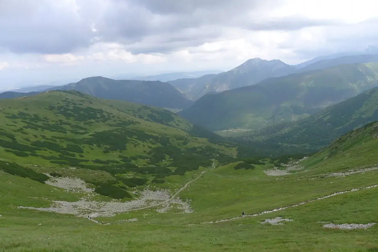 Zielona dolina wyżnia chochołowska z krętym szlakiem i górami w tle.