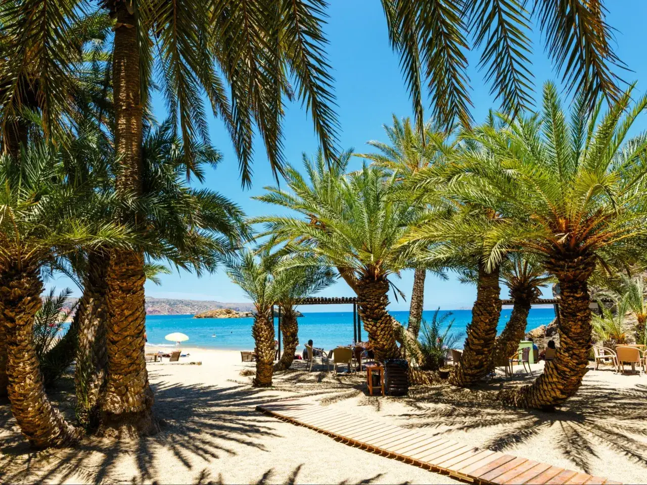 plaża palmy Karaiby