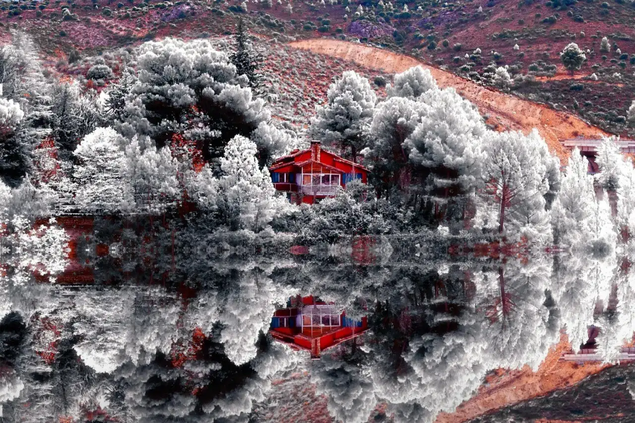 Dom w lesie, odbijający się w wodzie. Surrealistyczna fotografia w podczerwieni z białymi drzewami i czerwoną chatką.