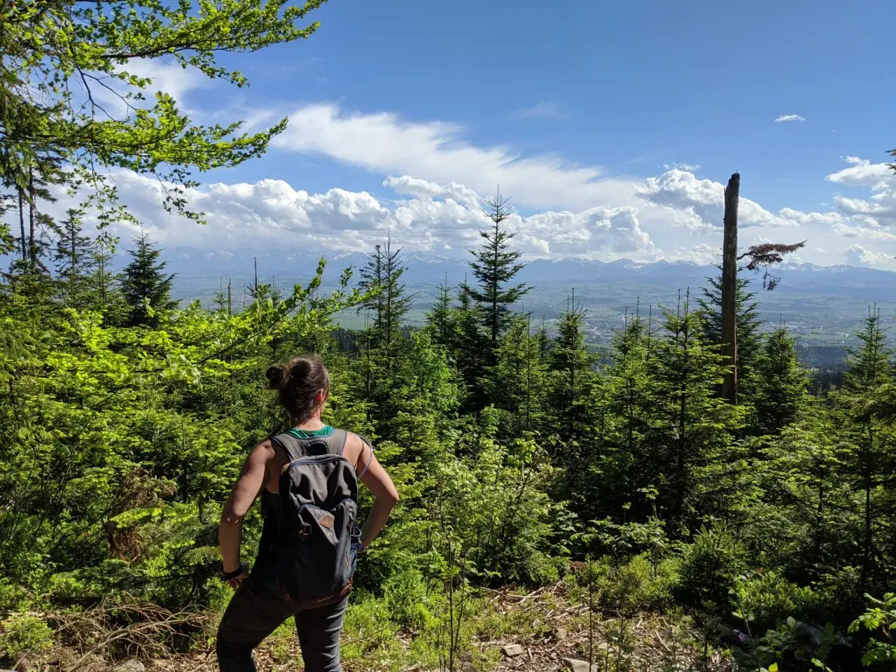 Widok na Tatry ze szczytu Turbacza. Kobieta z plecakiem podziwia rozległą panoramę g&oacute;r.