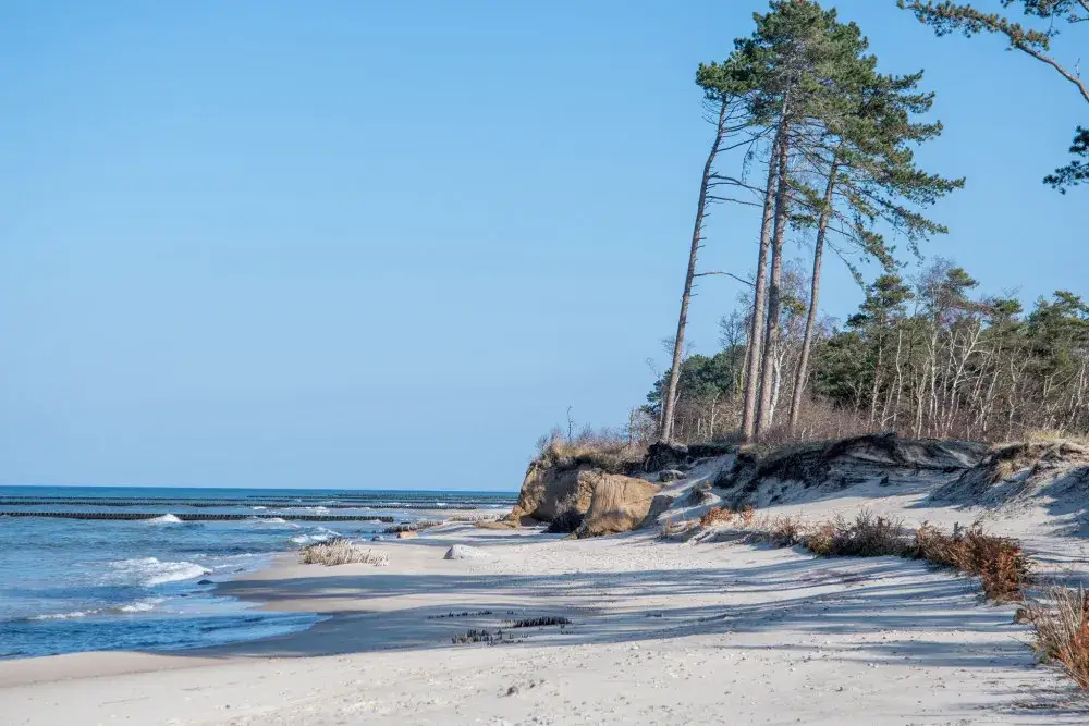 Dzikie plaże Bałtyku Polska