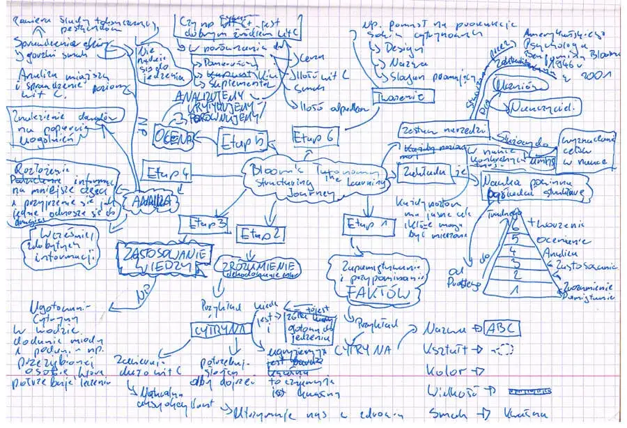 uczeń tworzący mapę myśli z historii