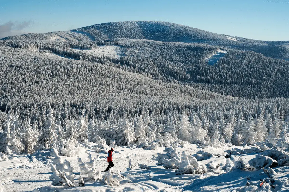 Snieżnik, jakie góry! Narciarz przemierza ośnieżone zbocza Karkonoszy, otoczony bajkowym lasem iglastym.