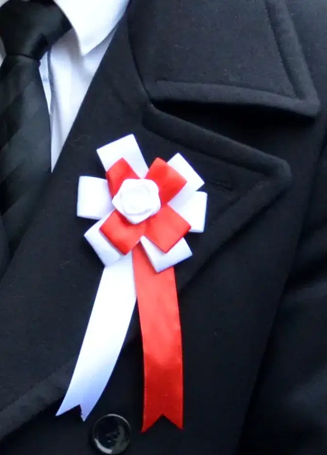 Zdjęcie Dlaczego powinniśmy szanować symbole narodowe i ich znaczenie dla tożsamości