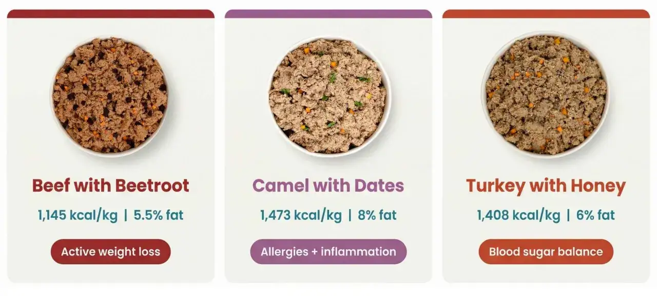 Szukasz karmy dla psa po kastracji? Sprawdź opcje: wołowina z burakiem (niska kaloryczność), wielbłąd z daktylami (alergie) lub indyk z miodem (cukier).