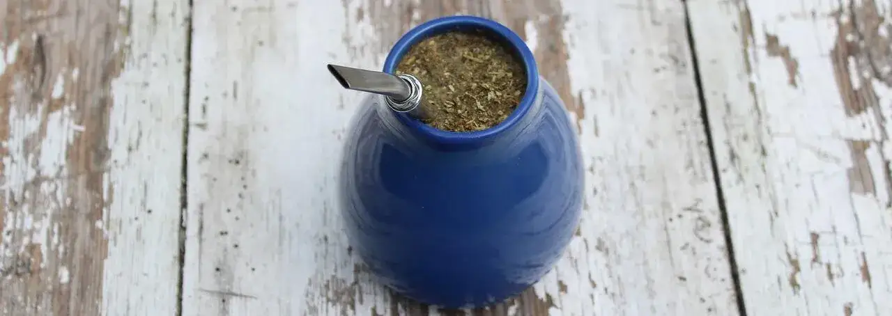 Yerba mate w naczyniu matero z bombillą