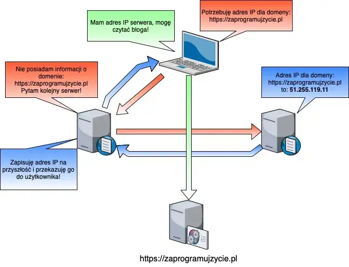Schemat budowy domeny internetowej