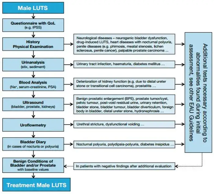 Badania urologiczne schemat