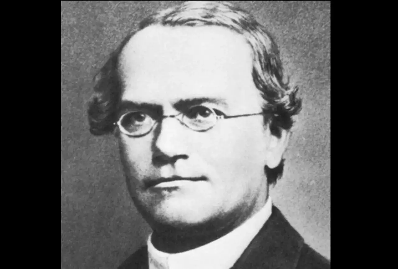 Grzegorz Mendel portret