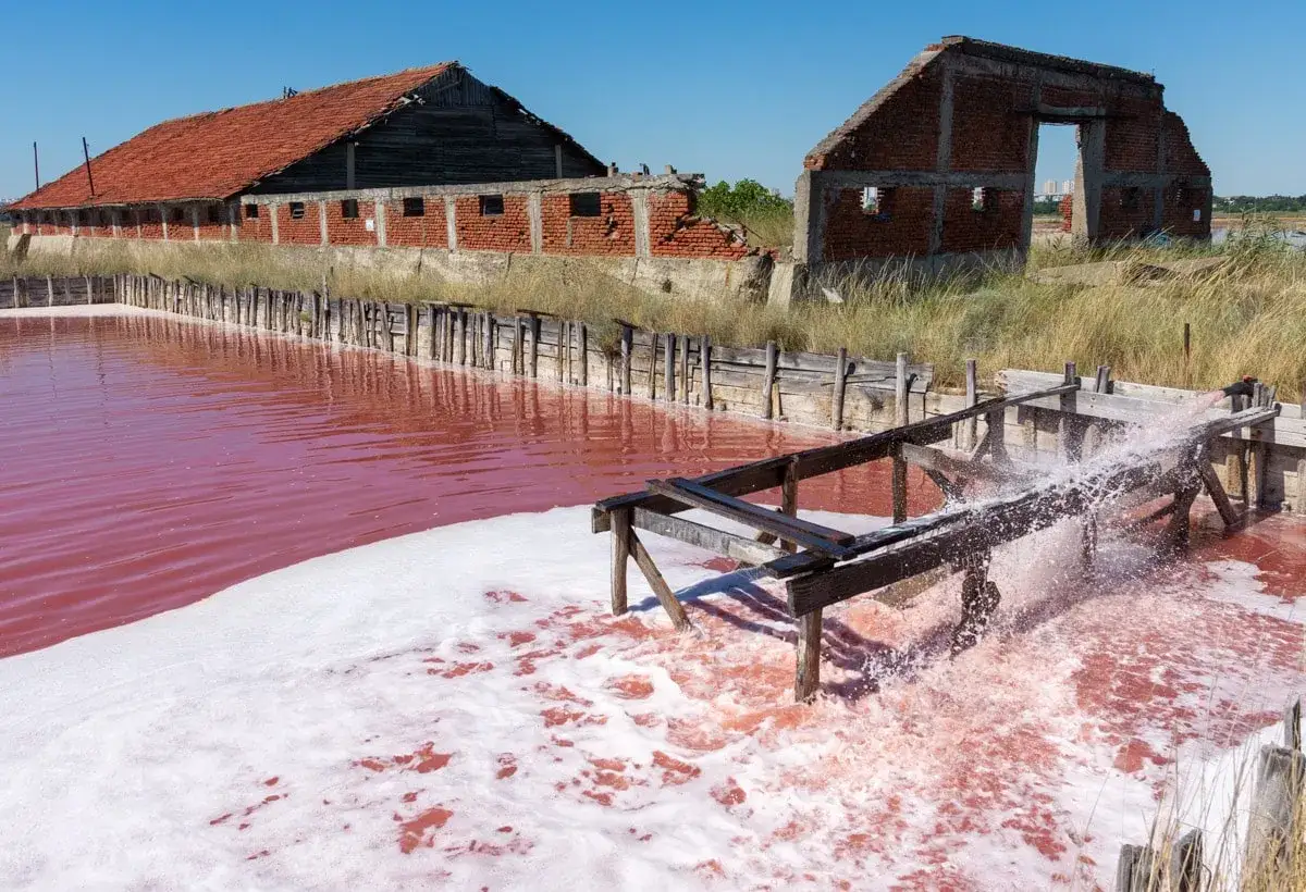 Różowe wody jeziora Atanasovsko, stare budynki i drewniana konstrukcja do przepompowywania wody.