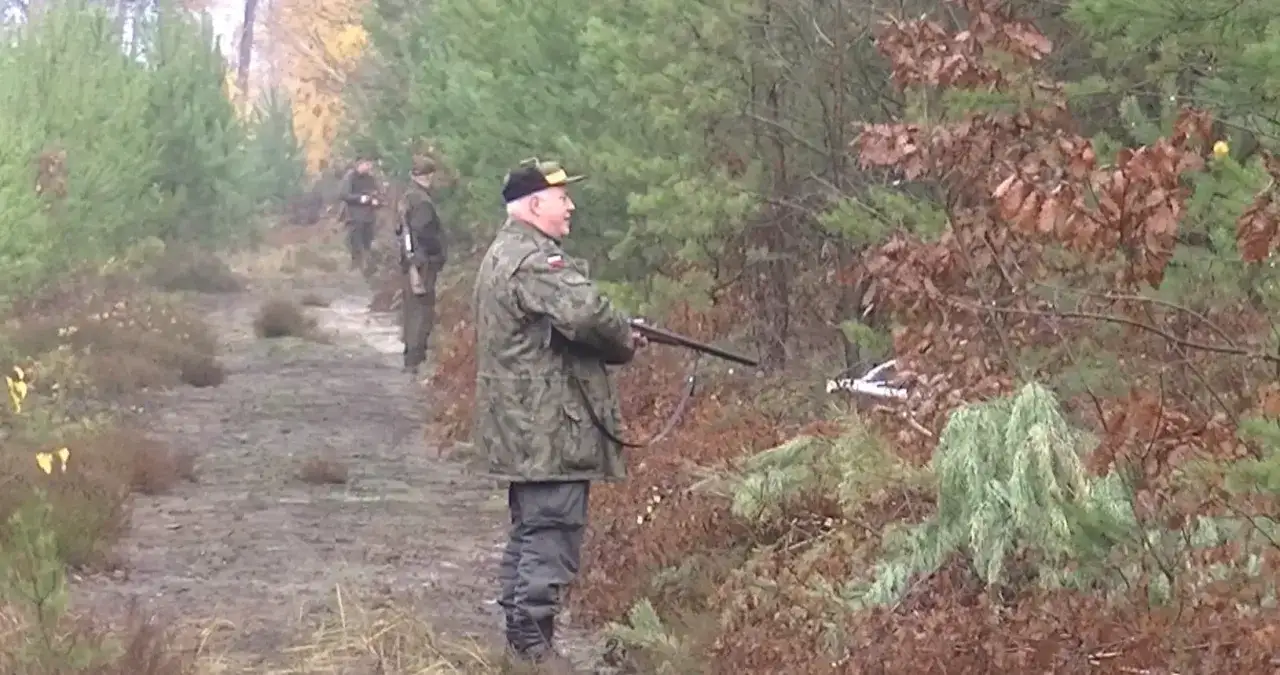 Myśliwy w lesie z bronią. Czy myśliwy ma obowiązek poinformować o polowaniu? W tle inni myśliwi.