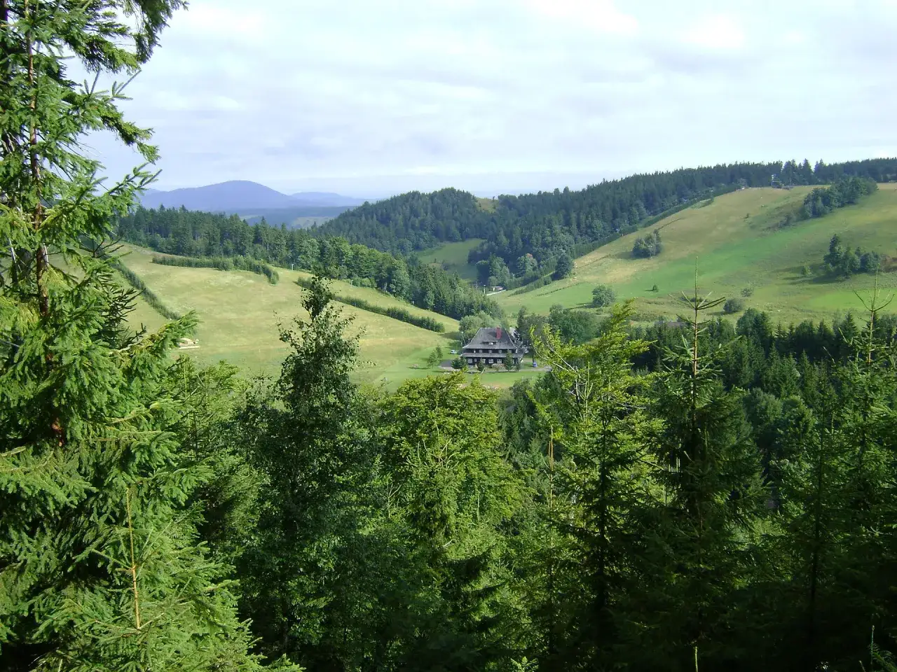 Zielone wzgórza, lasy i dom w oddali. Idealne miejsce na piesze wędrówki po górach kamiennych szlakach.