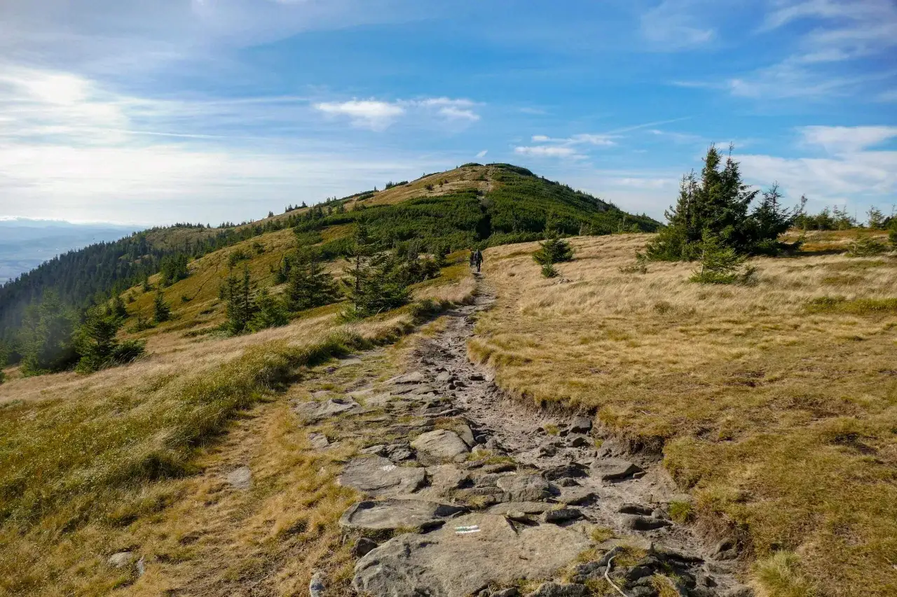 Kamienista ścieżka prowadzi na szczyt Babiej Góry. W oddali widać zielone zbocza i błękitne niebo.