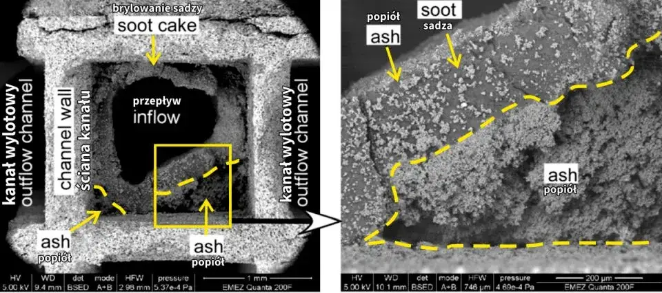 Filtr DPF przekrój z popiołem i sadzą